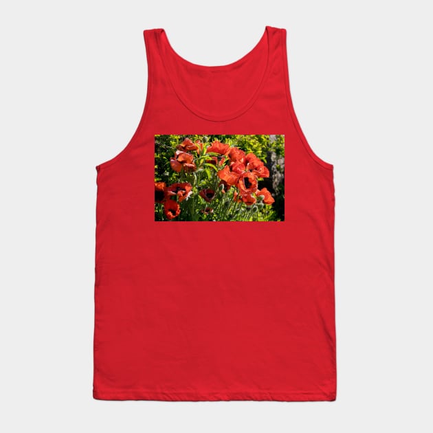 Blood red back lit Poppies Tank Top by Violaman